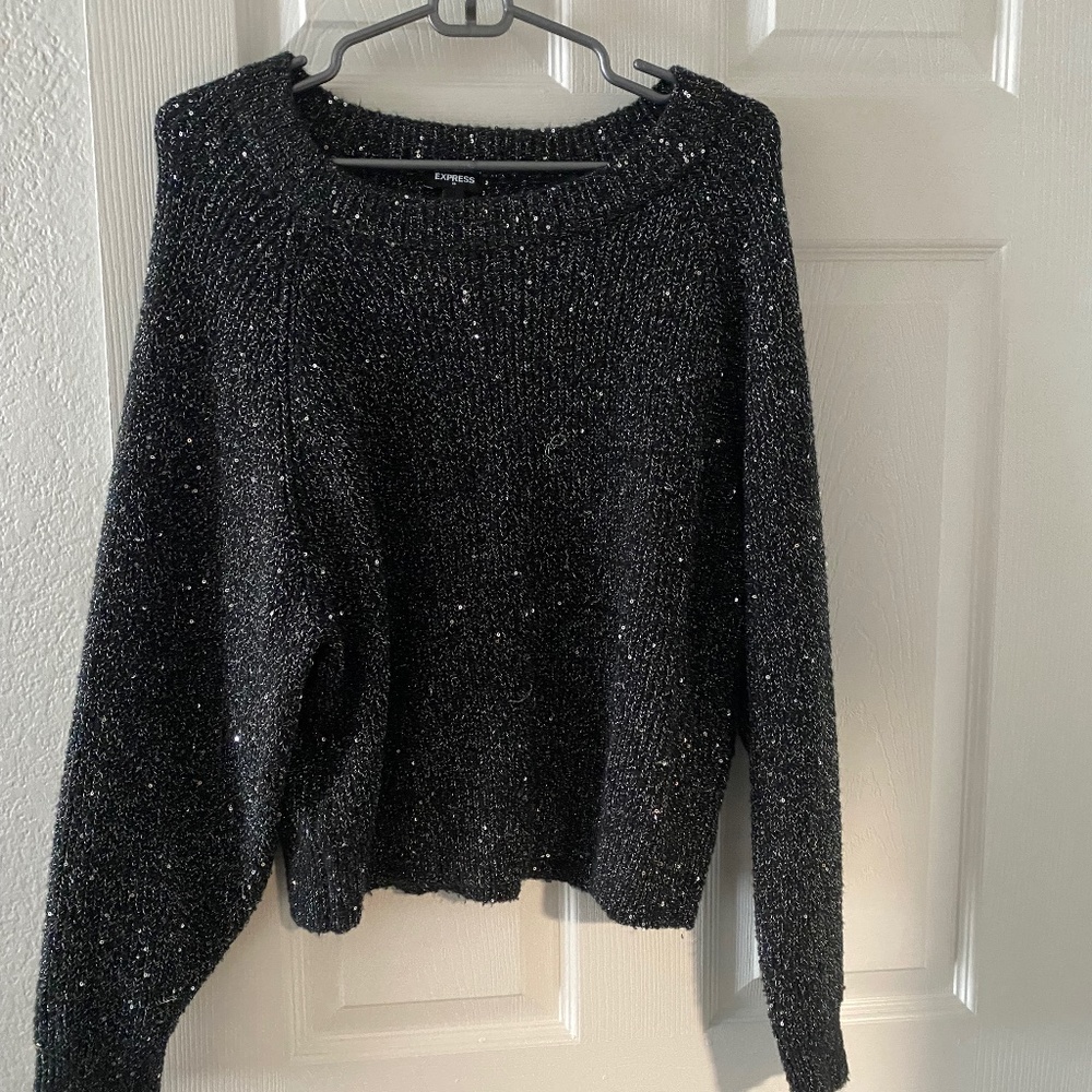 Express Sequined Sweater